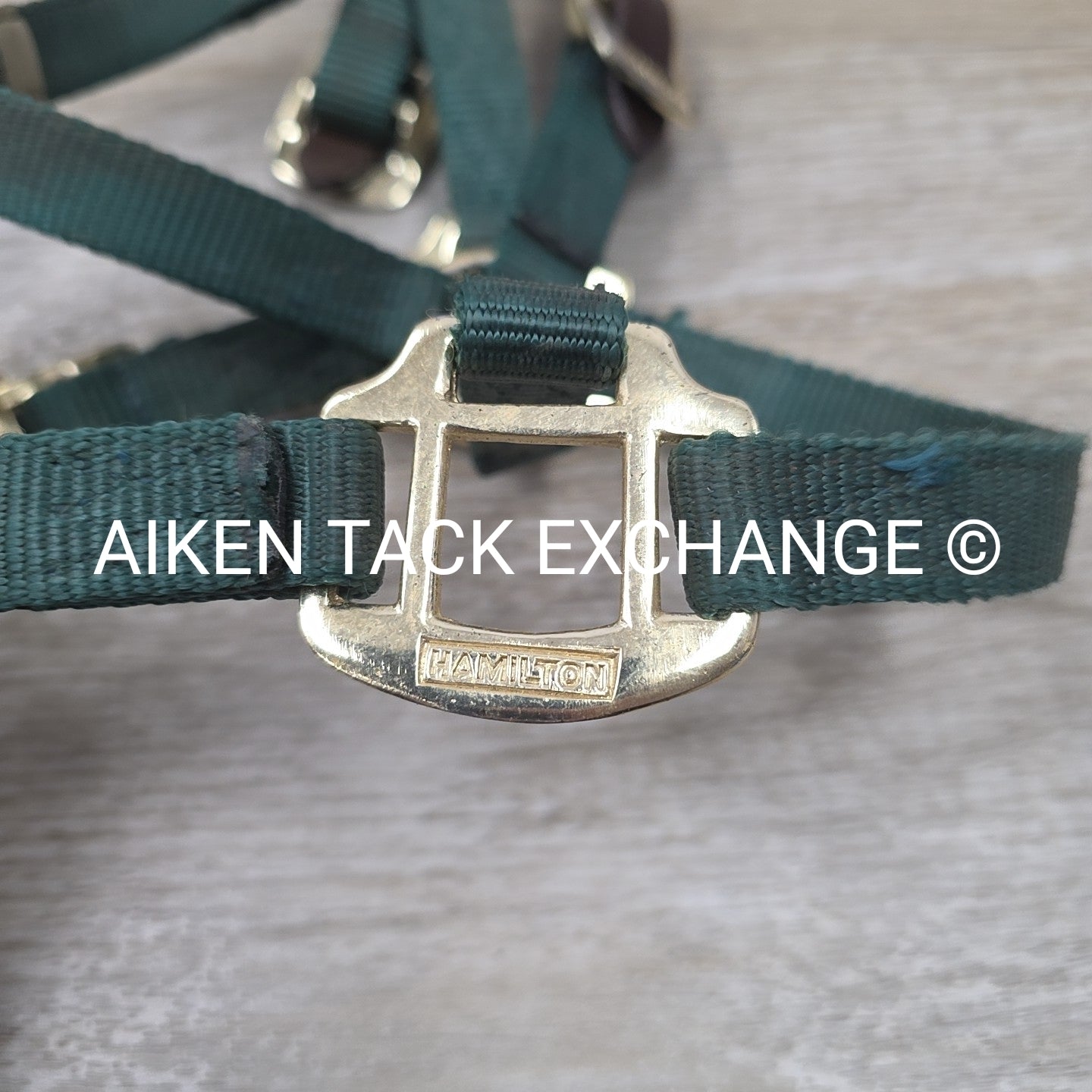 Hamilton Nylon Breakaway Halter, Size Foal