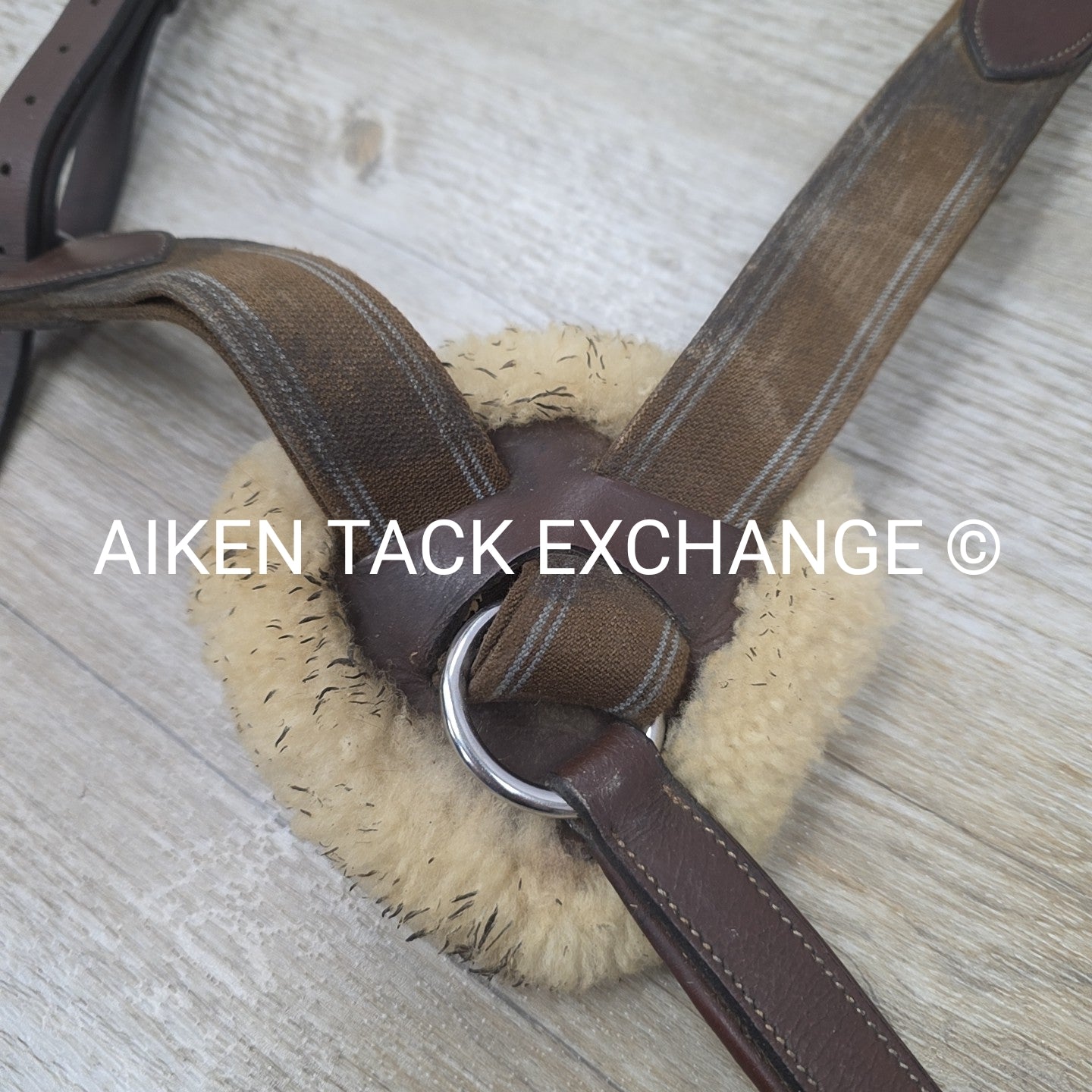 5 Point Breastplate, Brown, Size Cob