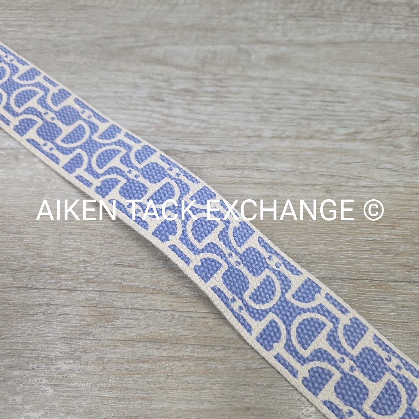 Ribbon Belt