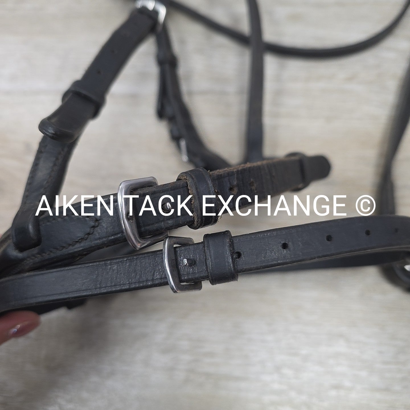 Bobby's English Tack Fairhaven Plain Raised Flash Bridle with Cotton Web Reins,