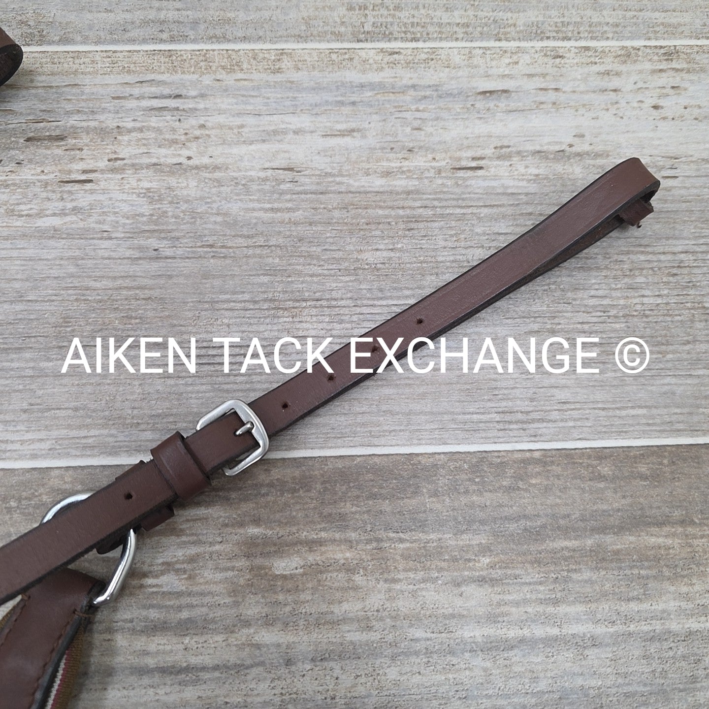 5 Point Breastplate with Running Martingale Attachment, Brown, Size Full