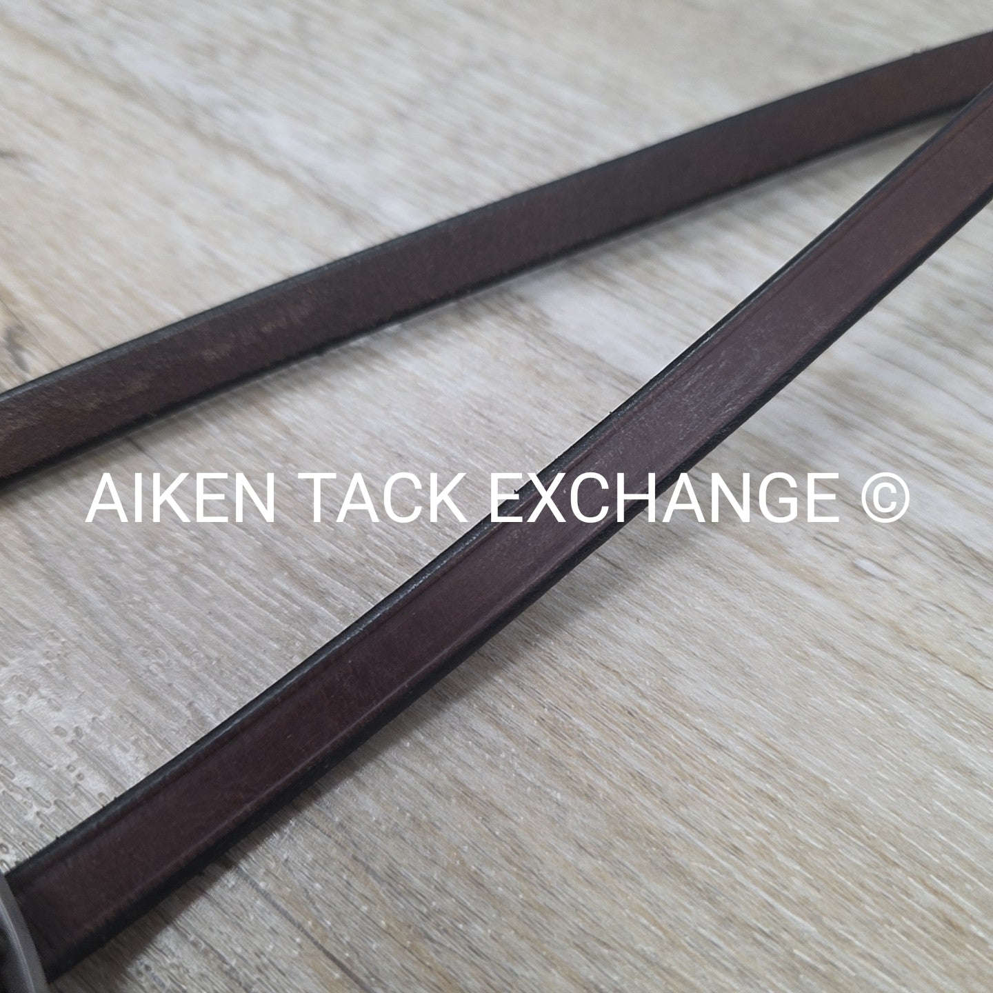 Hadfield Bridleworks Flat Standing Martingale, Size Extra Oversize