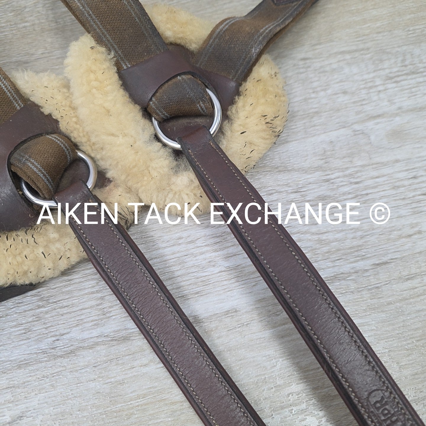 5 Point Breastplate, Brown, Size Cob