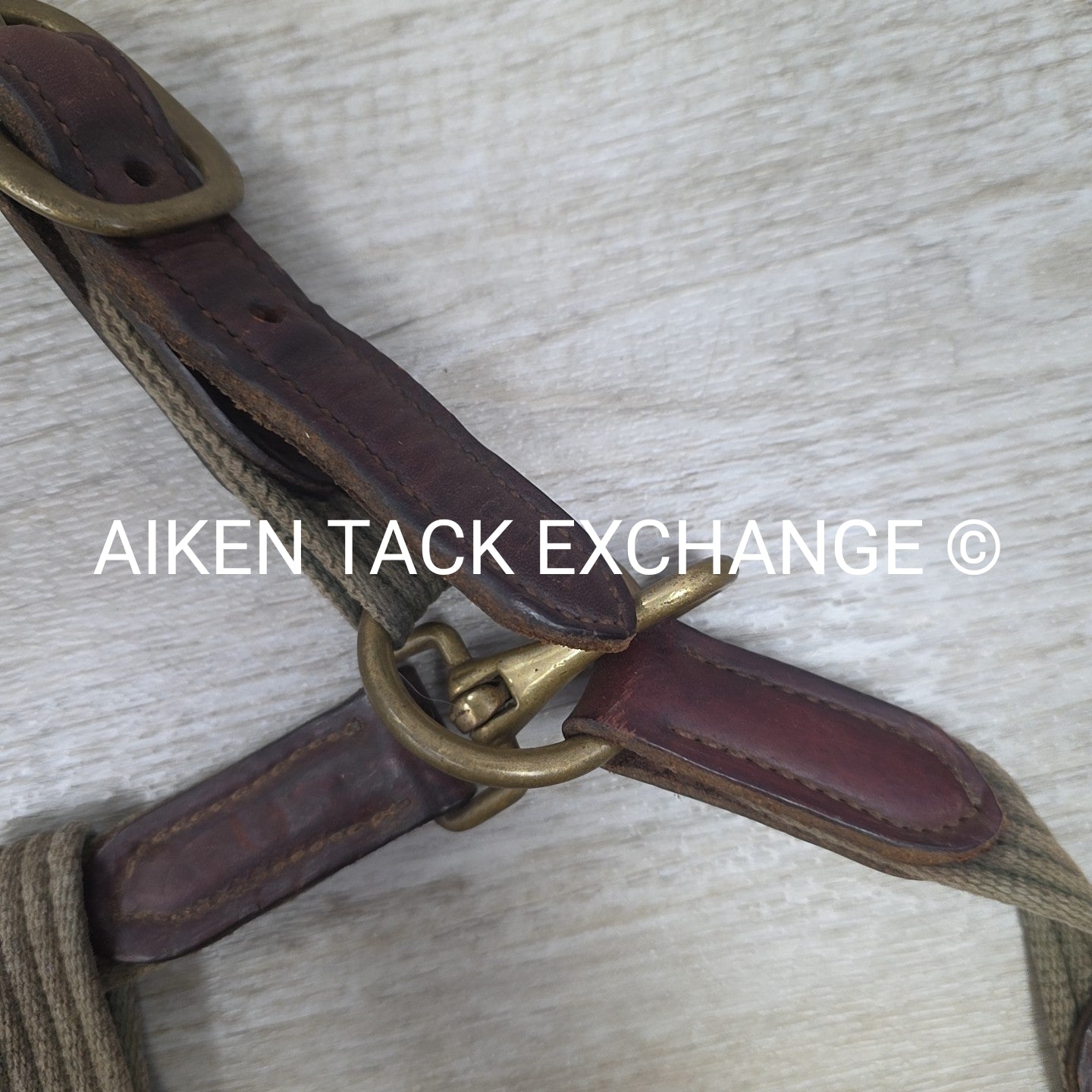 BARGAIN BUNDLE: Perri's Breakaway Halter, & Web Halter, Size Full