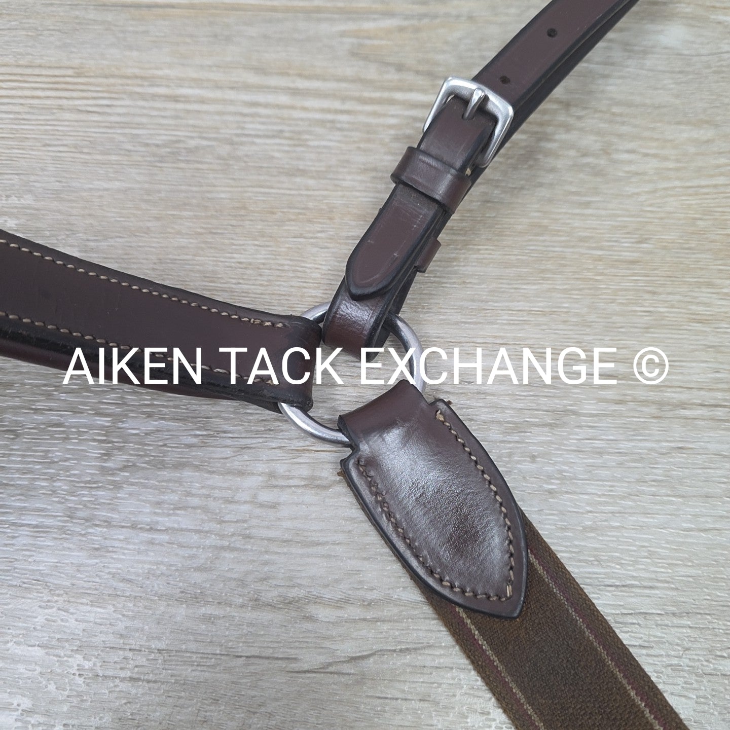 HDR Pro 5 Point Elastic Breastplate, Brown, Size Full