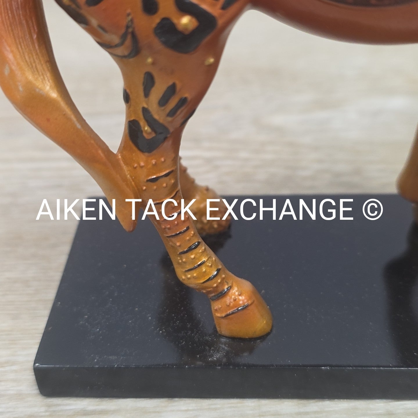 Trail of Painted Ponies - Reunion Of The Family Man