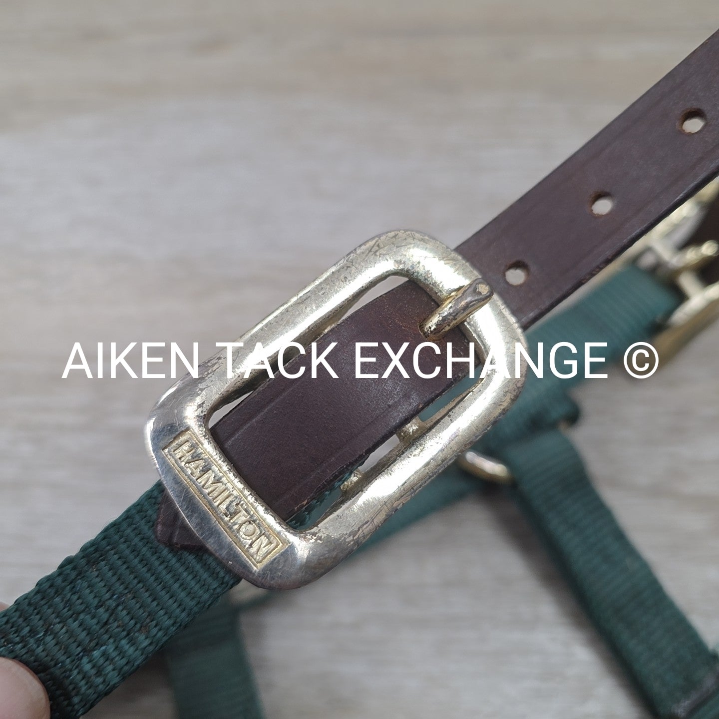 Hamilton Nylon Breakaway Halter, Size Foal