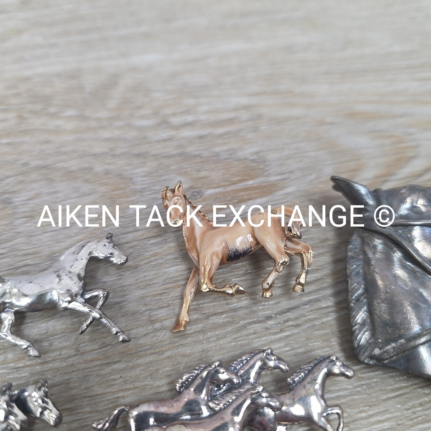 Horse Pin Bundle + 1 Horseshoe Charm