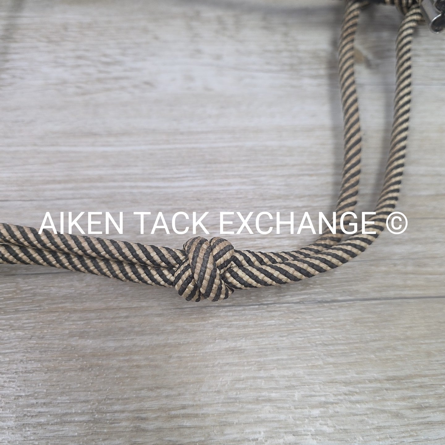 BARGAIN BUNDLE: 3 Rope Halters, 1 with Lead