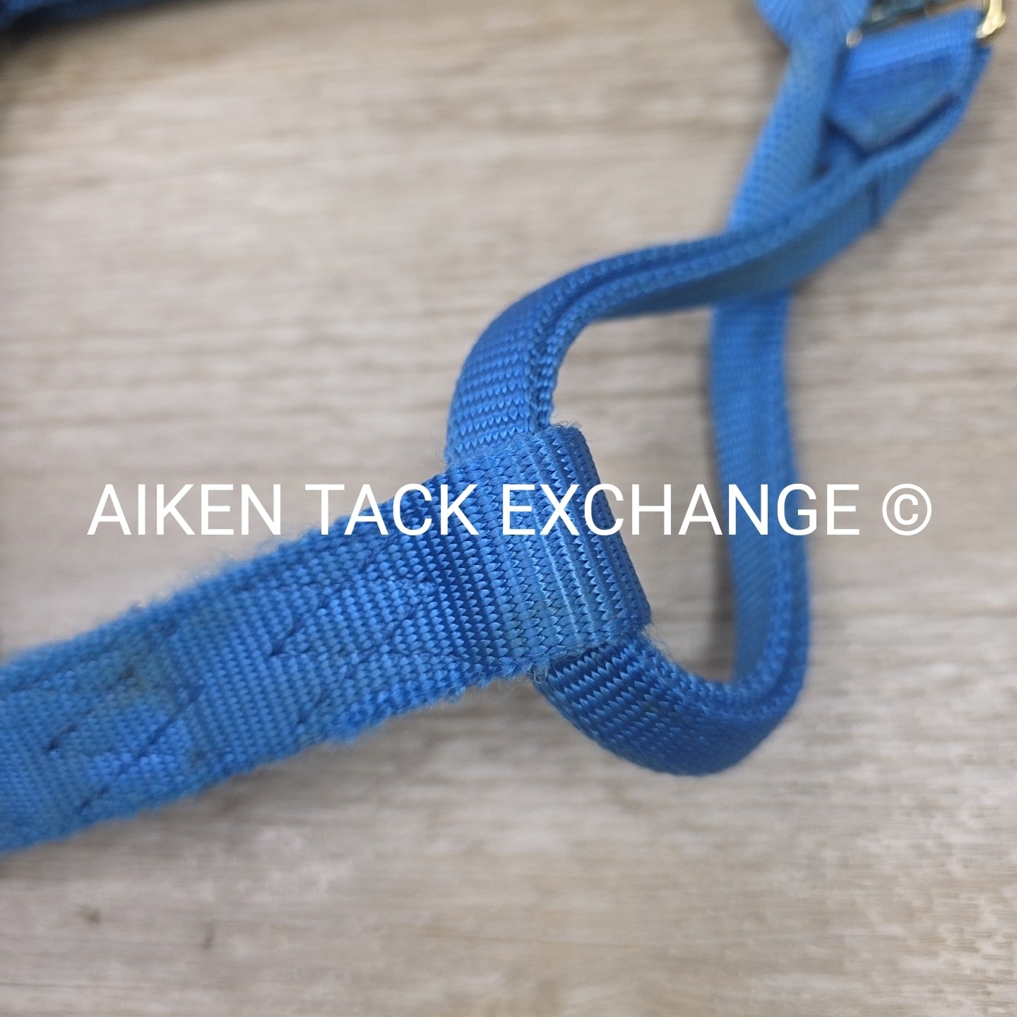 Nylon Breakaway Halter, Size Large