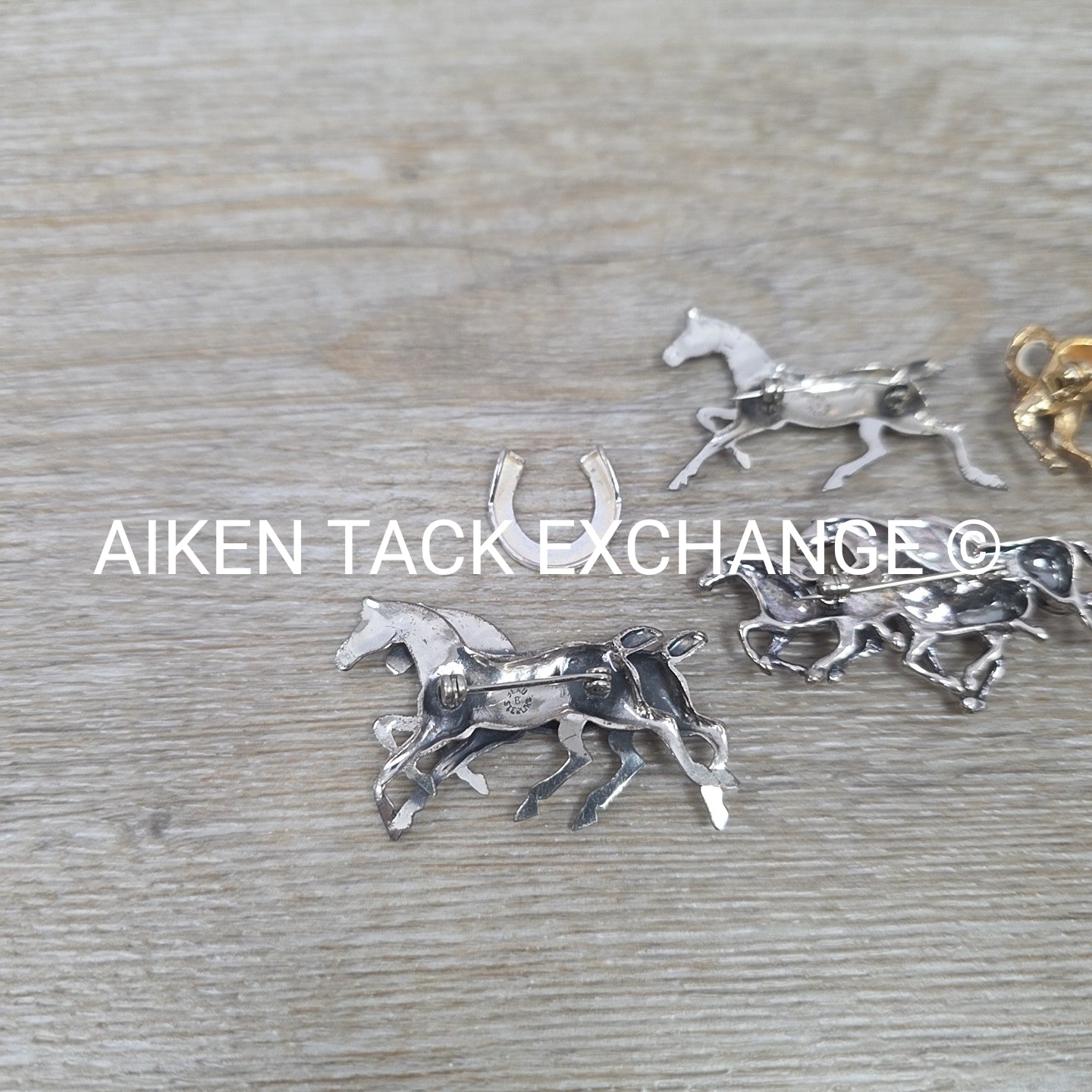 Horse Pin Bundle + 1 Horseshoe Charm