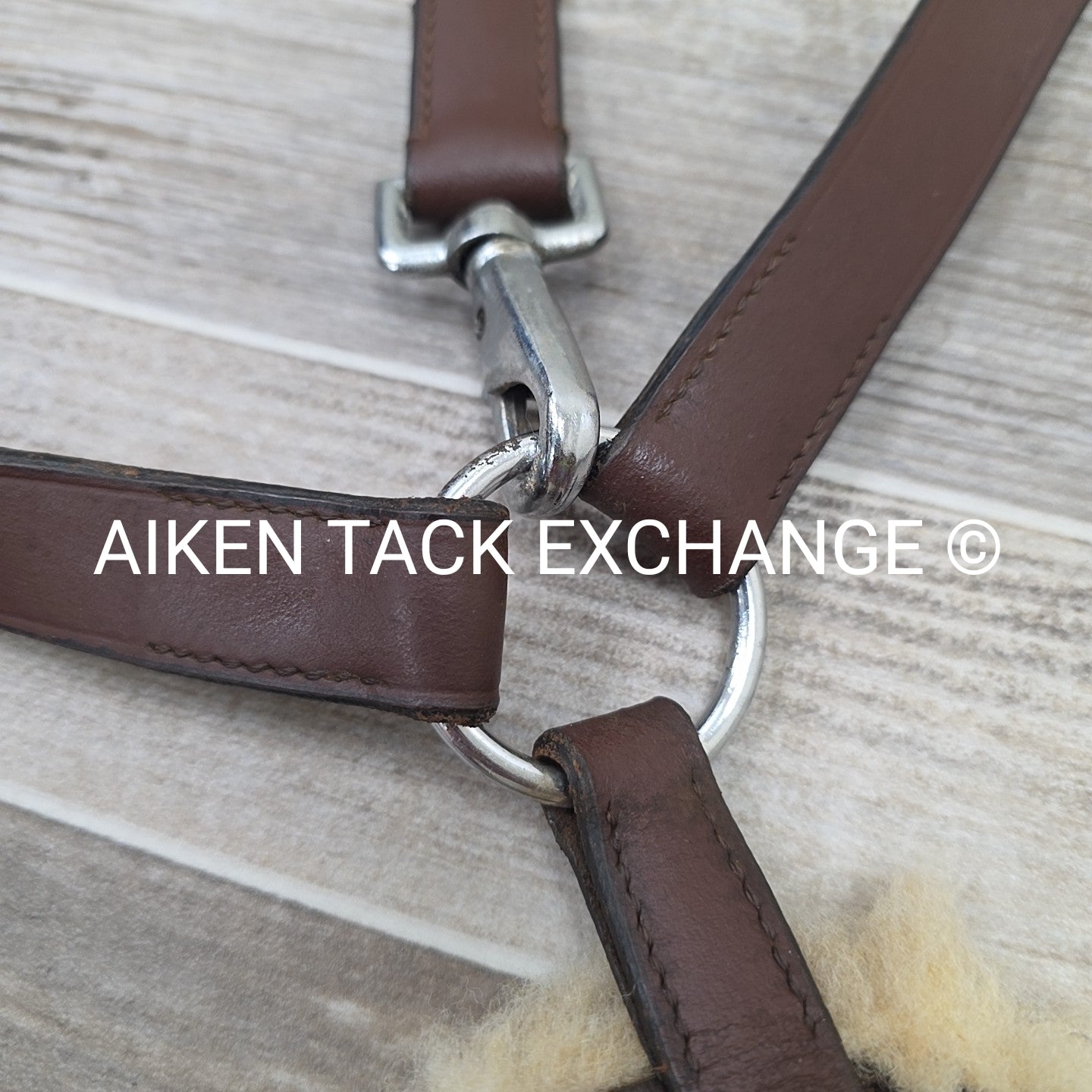 5 Point Breastplate with Running Martingale Attachment, Brown, Size Full