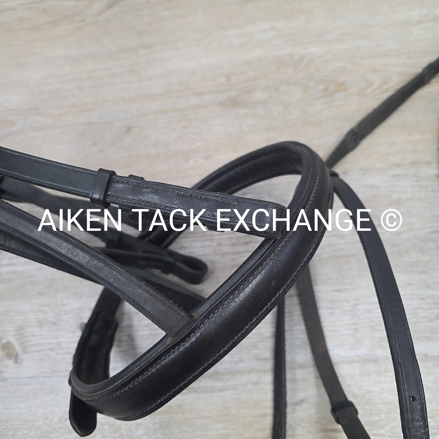 Passier & Sohn Flash Bridle with Cotton Web Reins, Black, Size Full