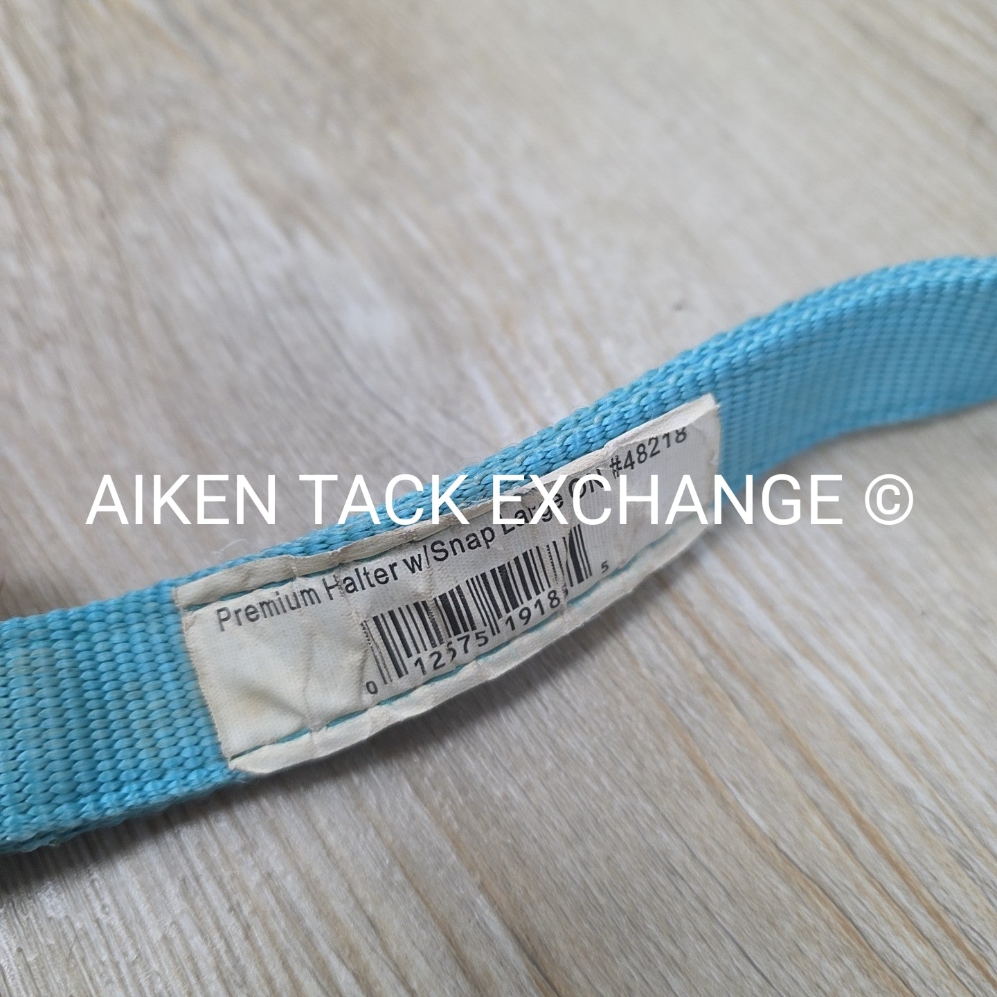 BARGAIN BUNDLE: 3 Nylon Halters, Various Sizes