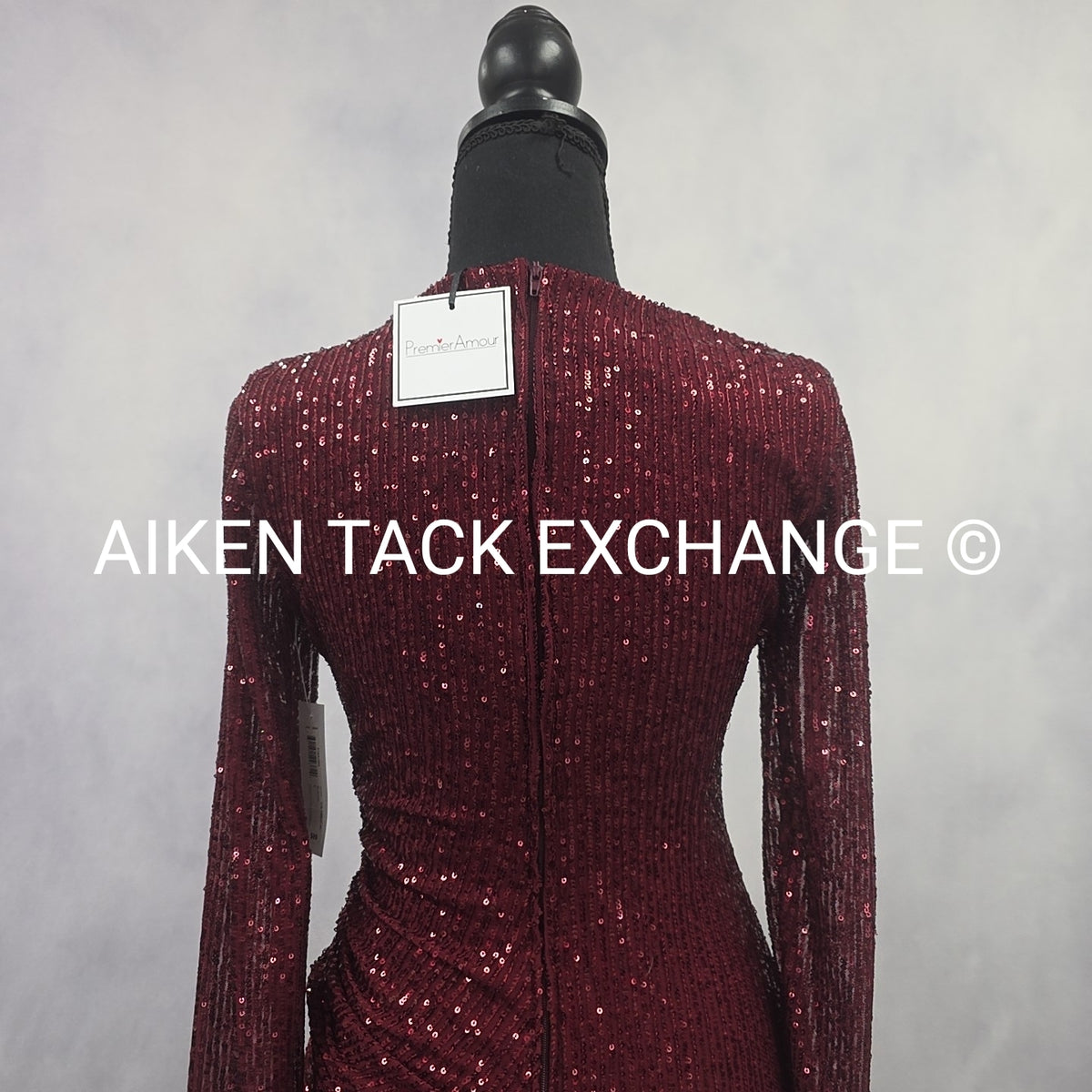 Premier Amour Long Sleeve Dress, Size 4