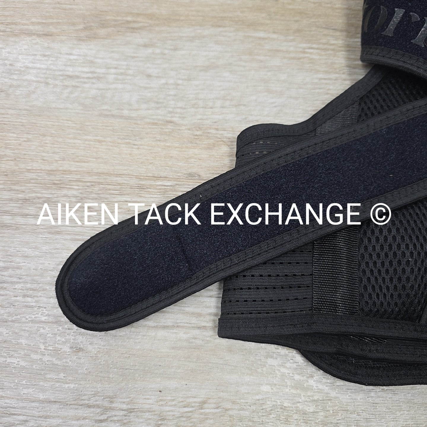 Equestorian Back Brace, Size Large