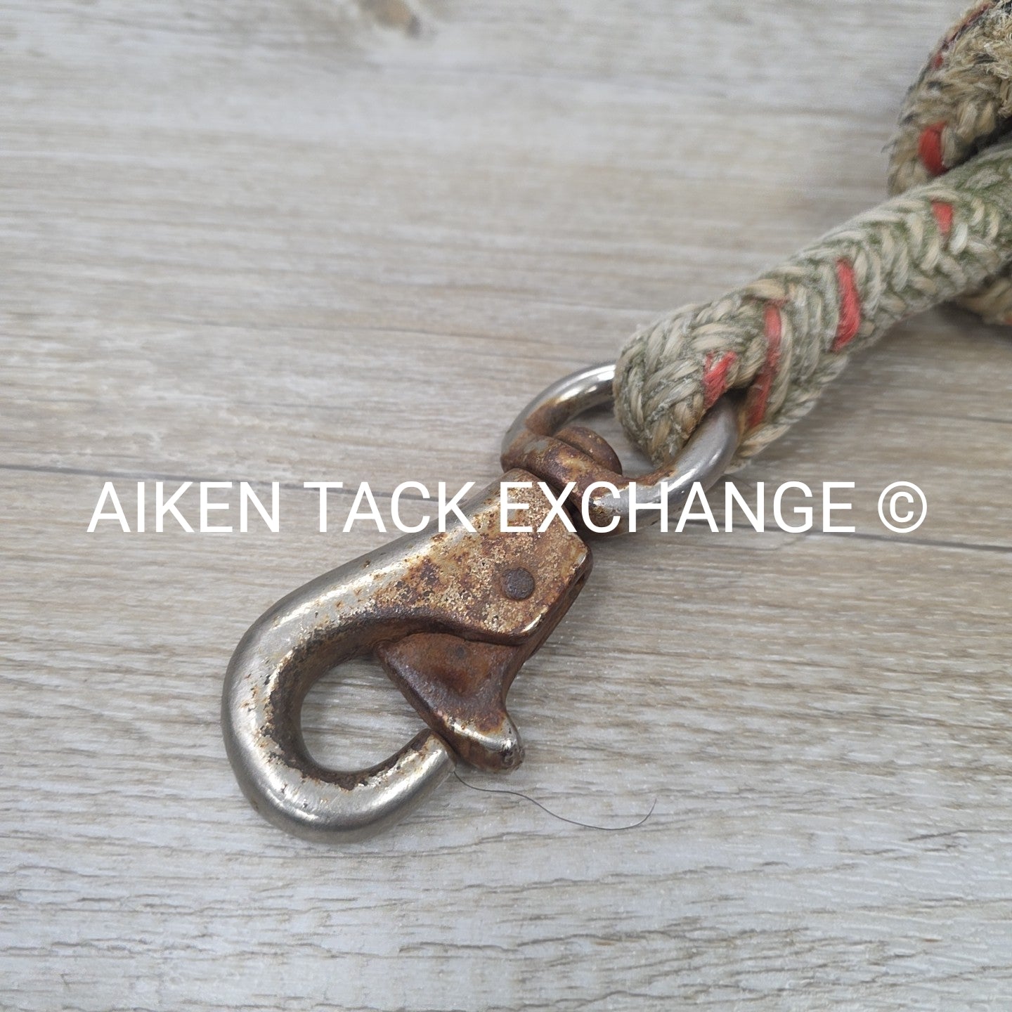 BARGAIN BUNDLE: 3 Lead Ropes