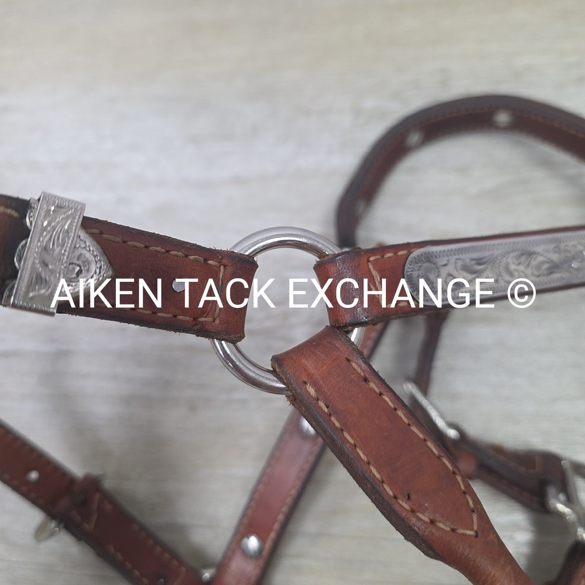 Western Show Halter, Size Foal