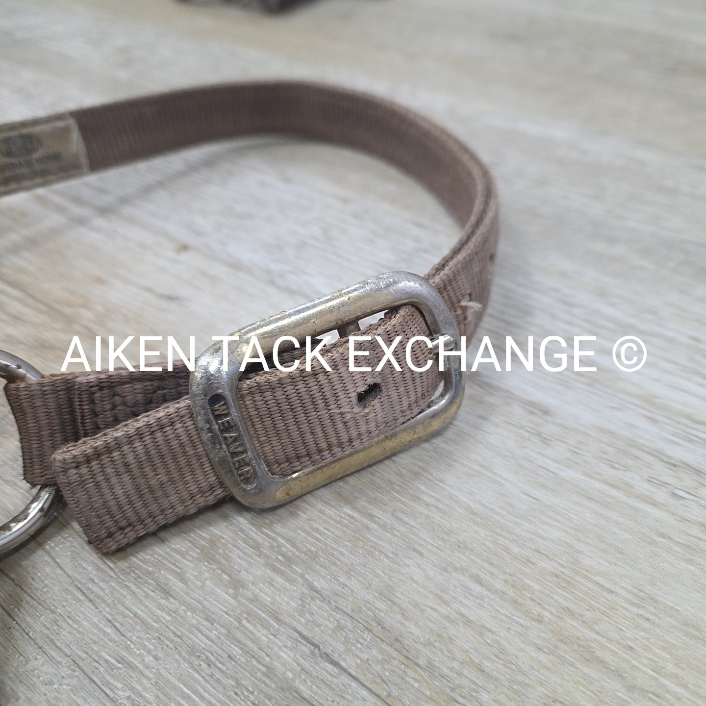 BARGAIN BUNDLE 4 Weaver Leather Nylon Halters, Size Horse