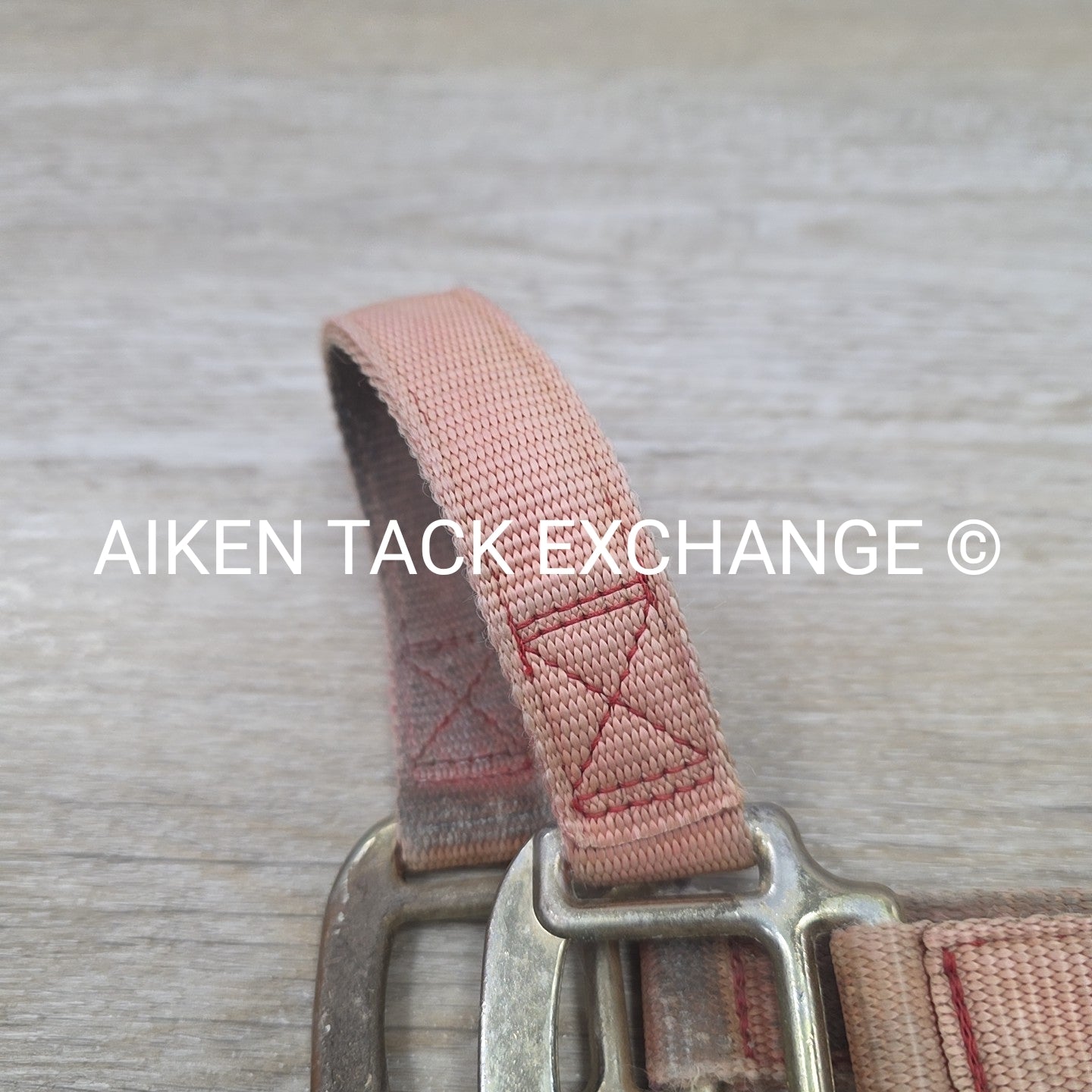 BARGAIN BUNDLE: Nylon Halter, Size Small with Lead Rope