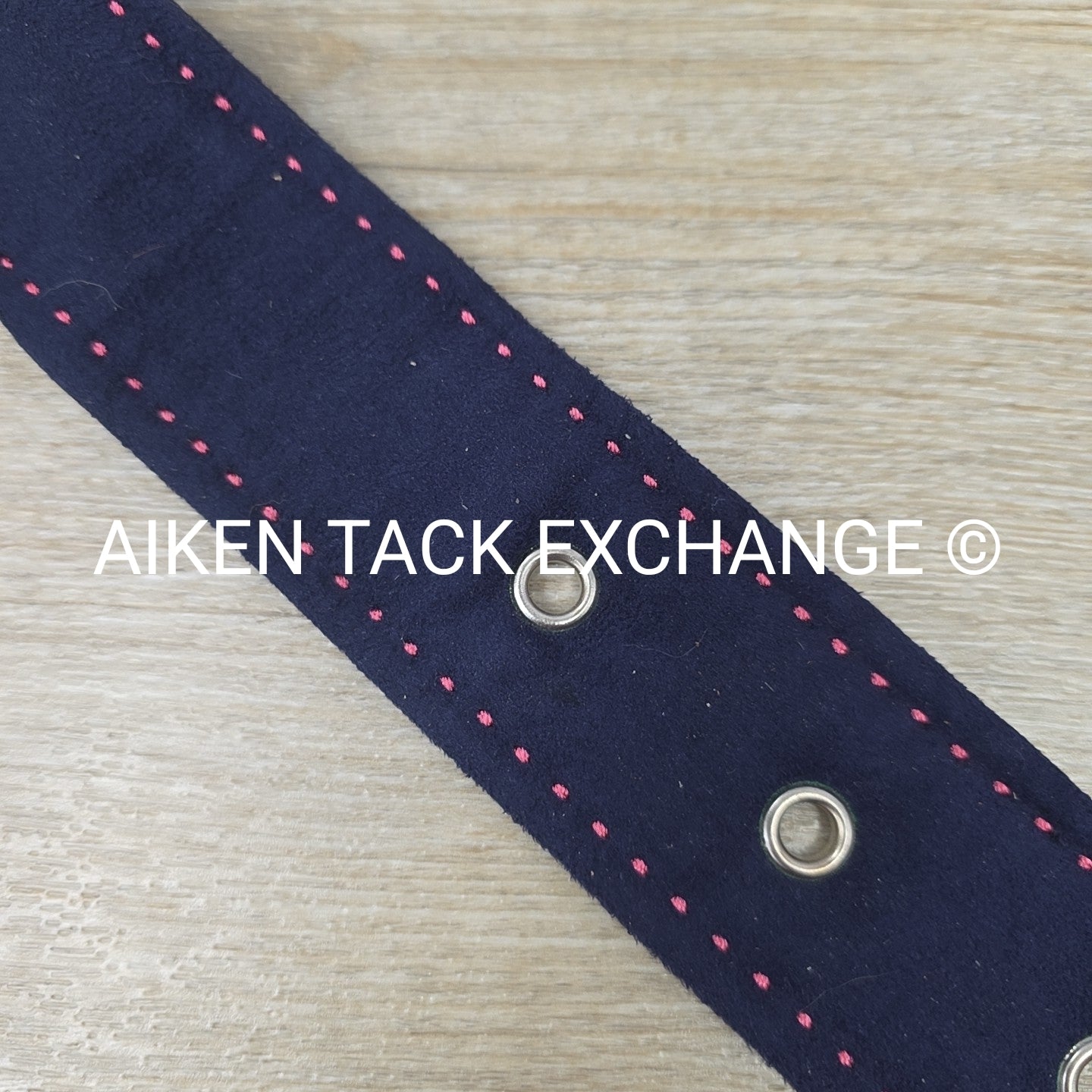 Women's Medium Equine Couture Suede Belt, Navy with Pink Stitching