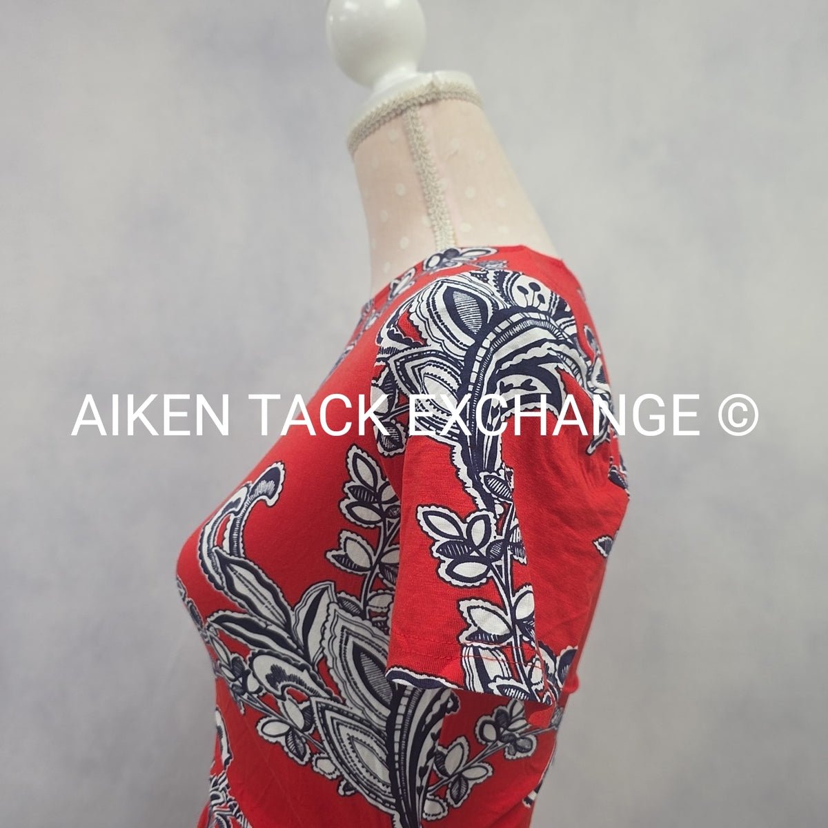 Venus T-Shirt Dress, Size X-Small