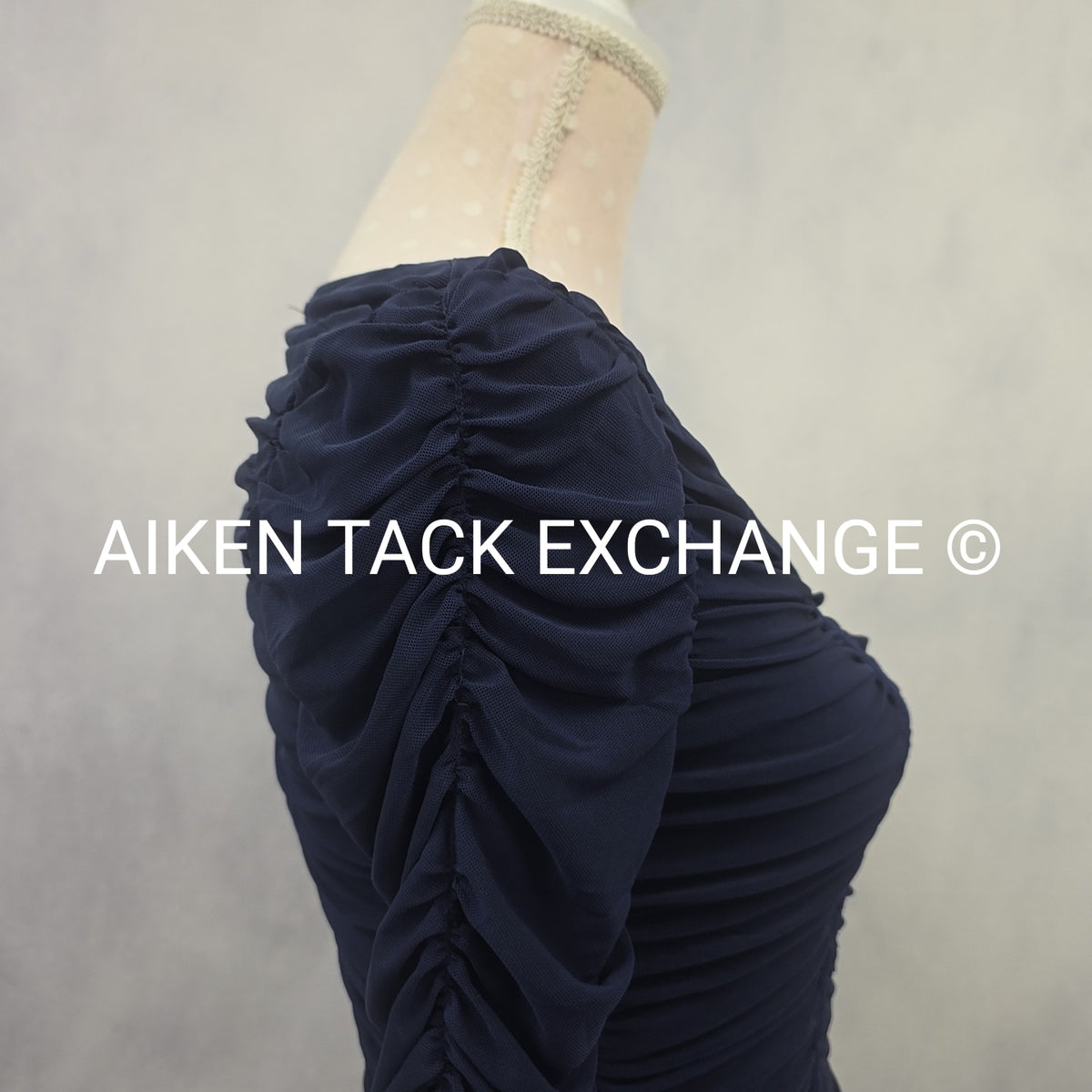 Venus Long Sleeve Mesh Top, Size X-Small