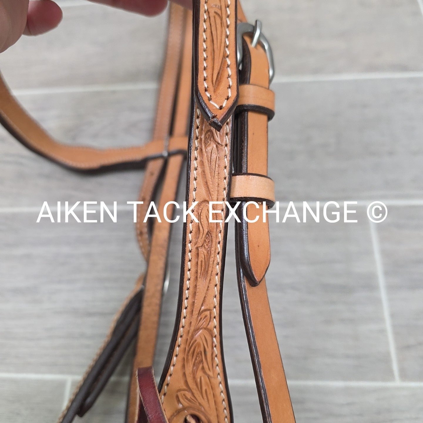 Showman Browband Headstall, No Reins