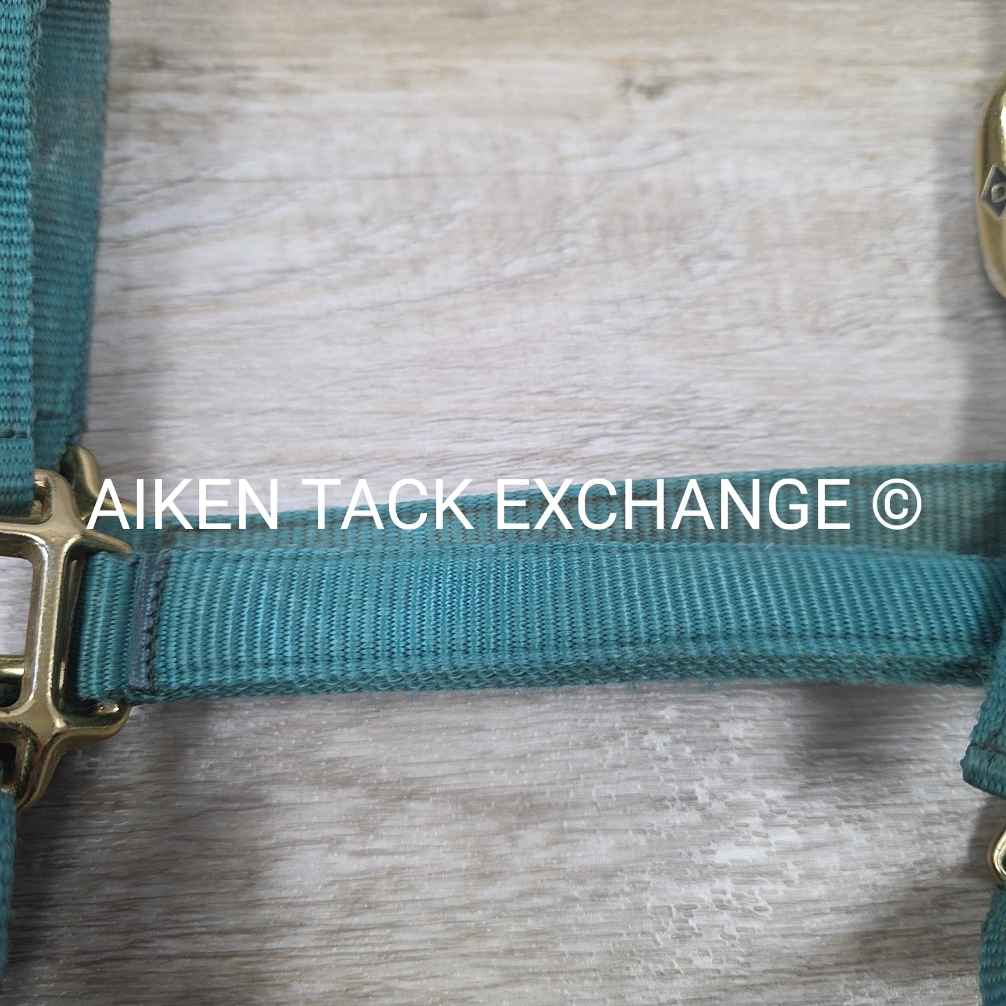 Big D Nylon Halter, Size Full