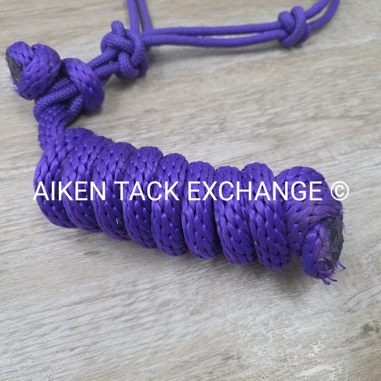Rope Halter with Lead