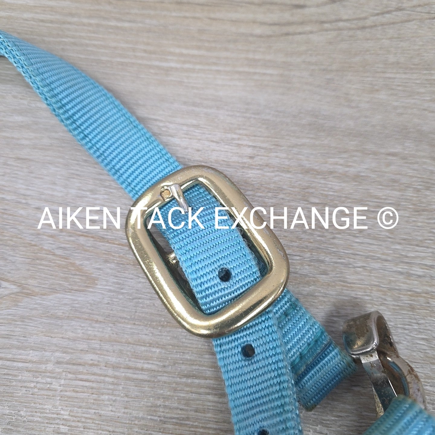 BARGAIN BUNDLE: 3 Nylon Halters, Various Sizes