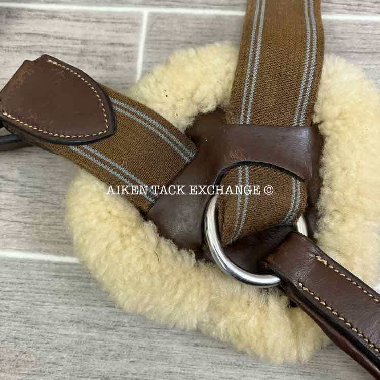 HDR Pro 5 Point Elastic Breastplate, Brown, Size Full