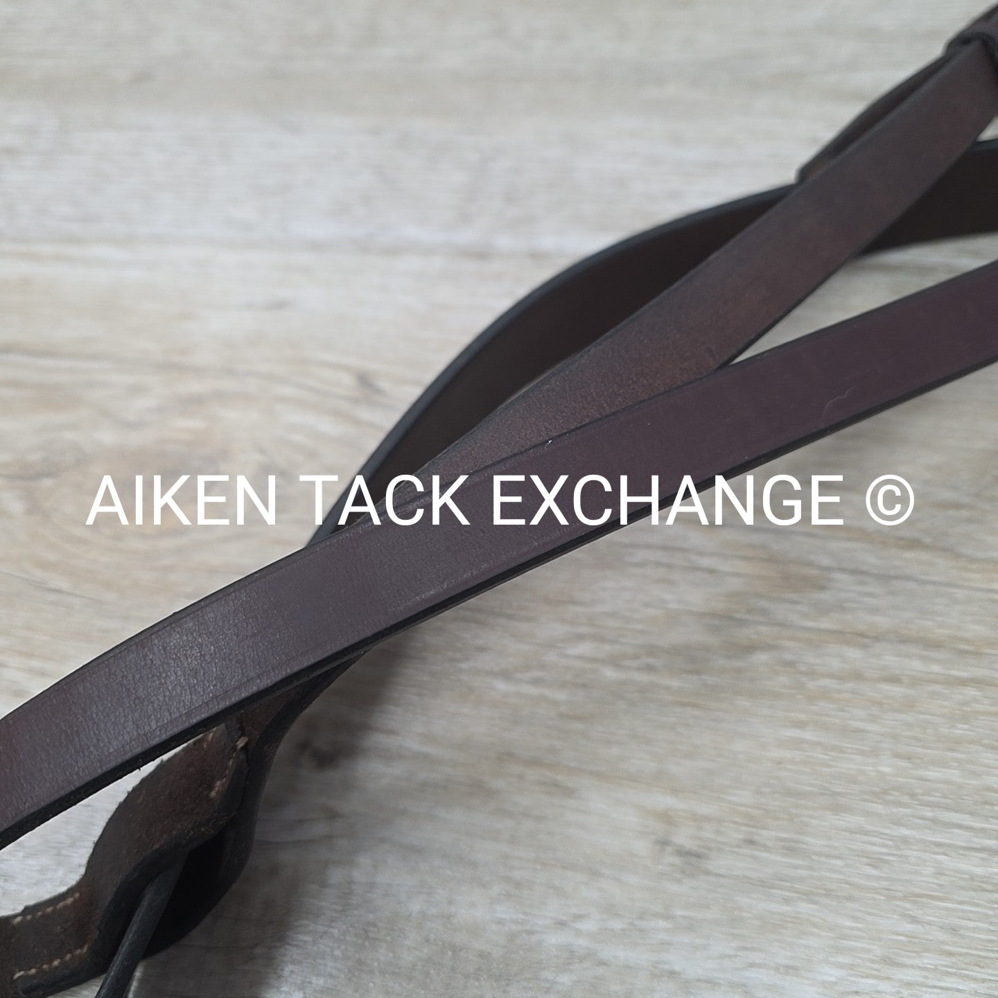 Horse Country First Flight Standing Martingale, Brown, Oversize