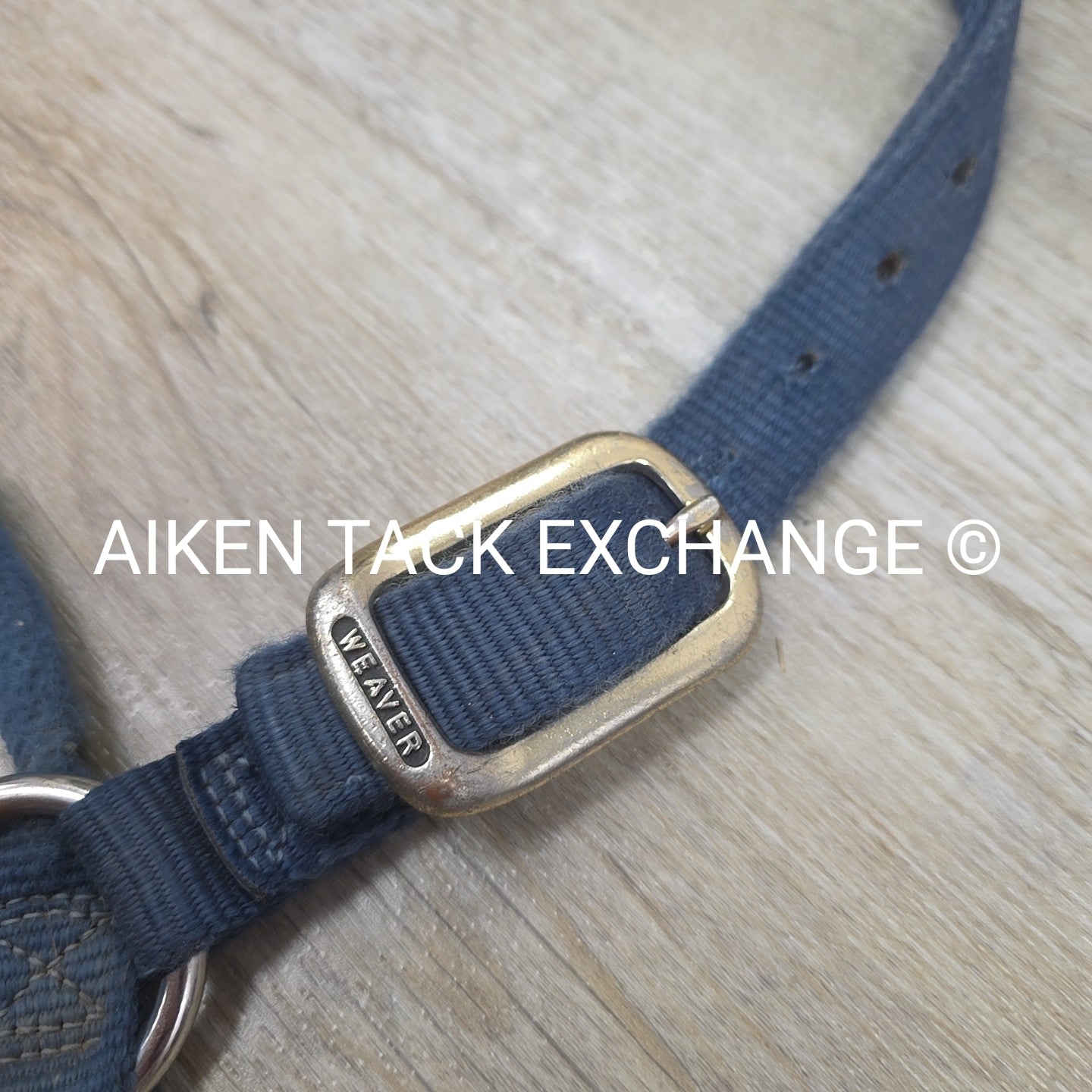BARGAIN BUNDLE: Leather Halter & Nylon Halter, Size Full