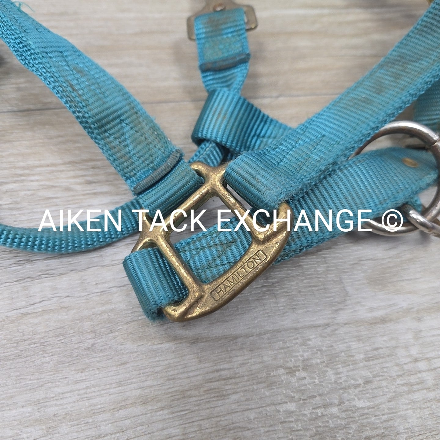 BARGAIN BUNDLE: 3 Nylon Halters, Various Sizes