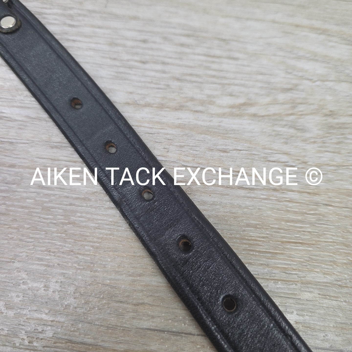 Tory Leather Snaffle Bit Belt, Black, 34