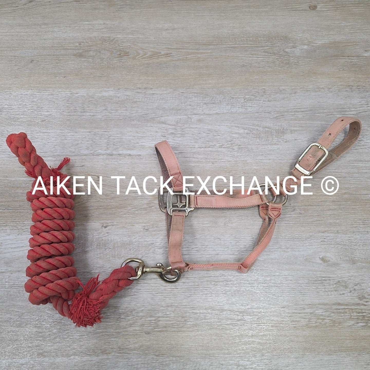 BARGAIN BUNDLE: Nylon Halter, Size Small with Lead Rope