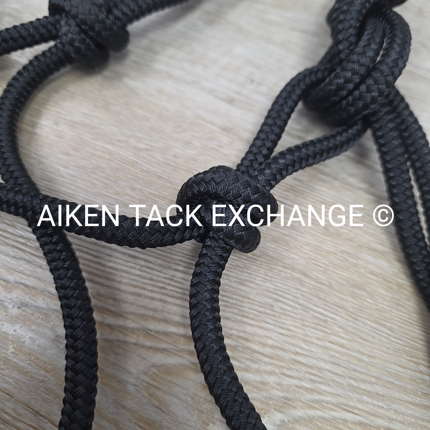Rope Halter with Lead
