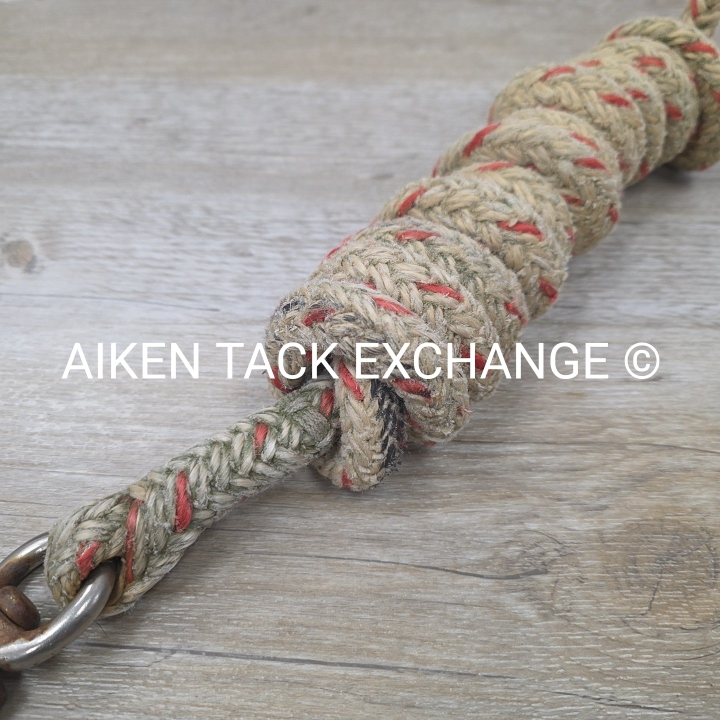BARGAIN BUNDLE: 3 Lead Ropes