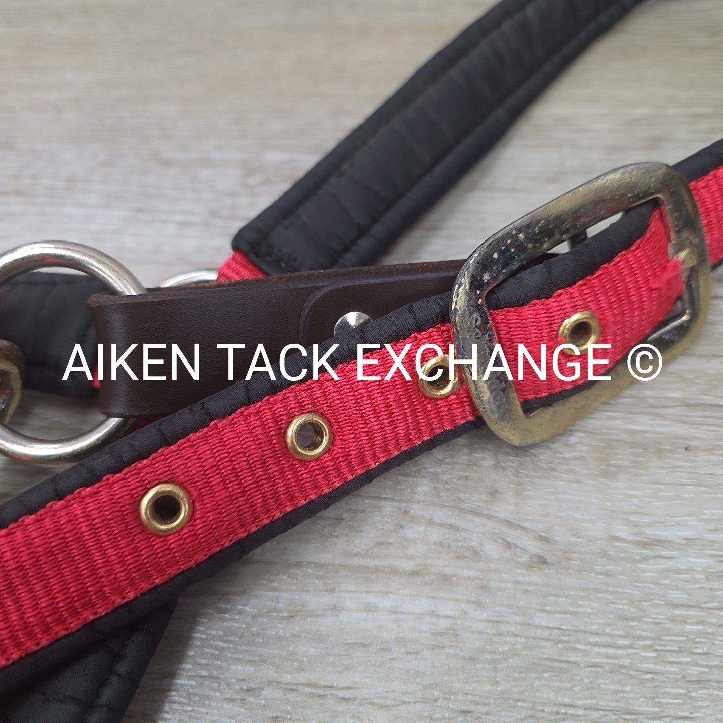 Schneiders Padded Breakaway Halter, Oversize