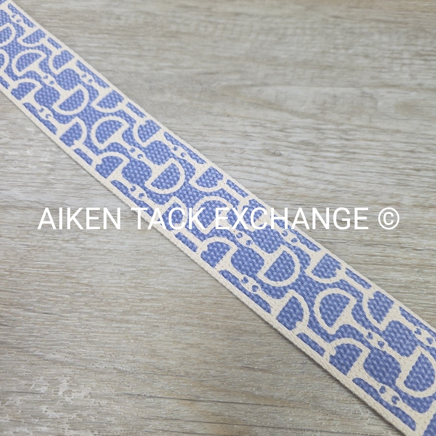 Ribbon Belt