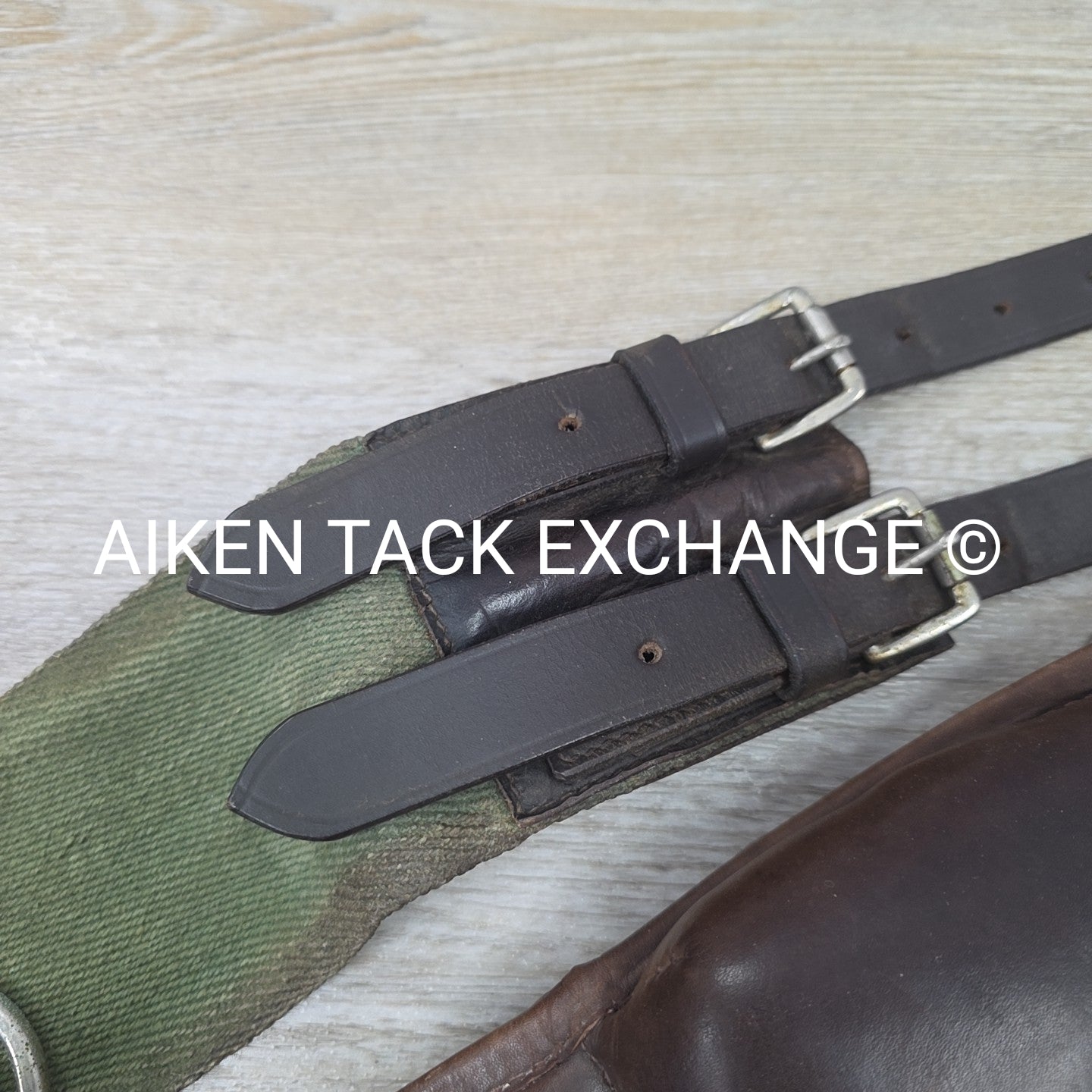 Dover Saddlery Classic Web Training Surcingle