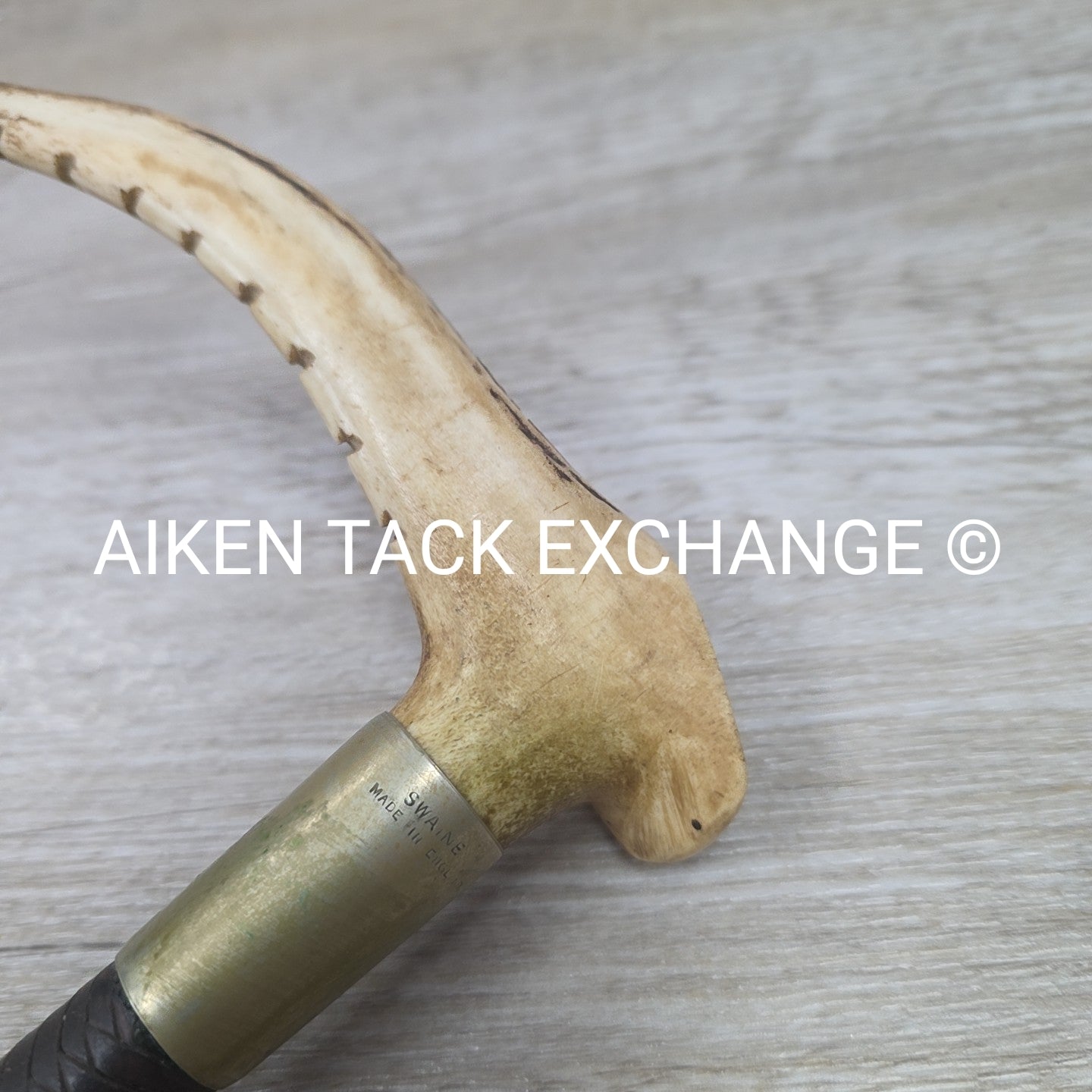 Men's Swaine Staghorn Hunt Whip with Thong / Lash