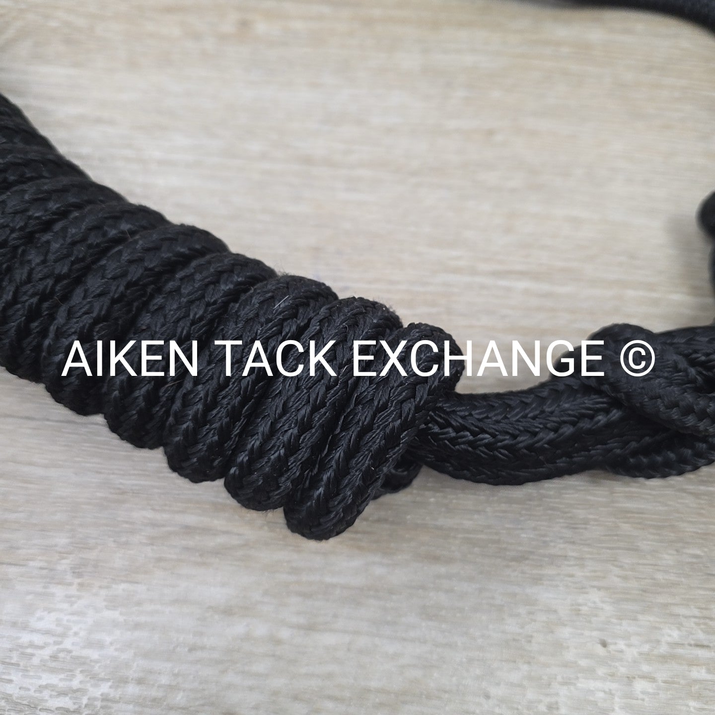 Rope Halter with Lead