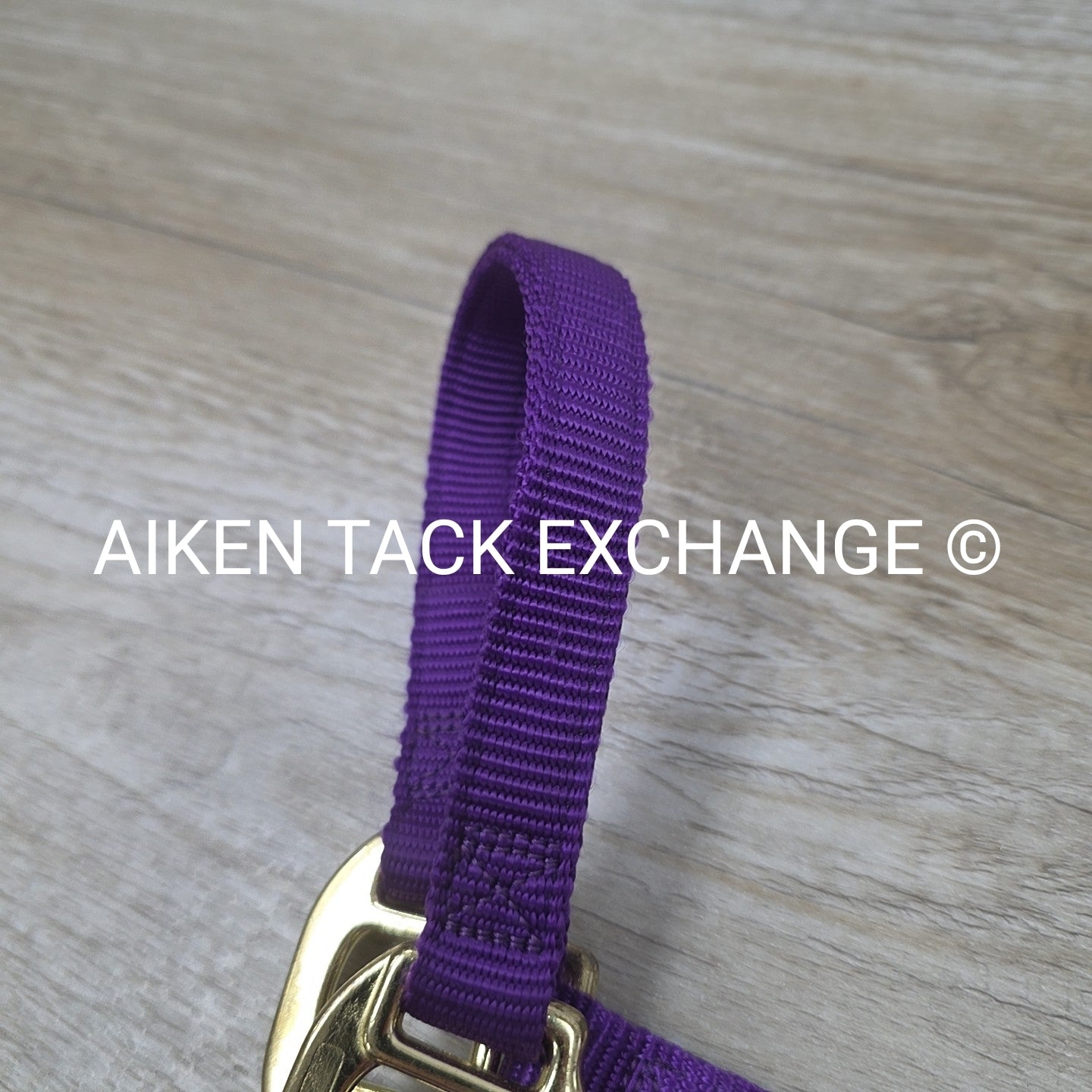 Weaver Leather Nylon Halter, Size Medium Arab