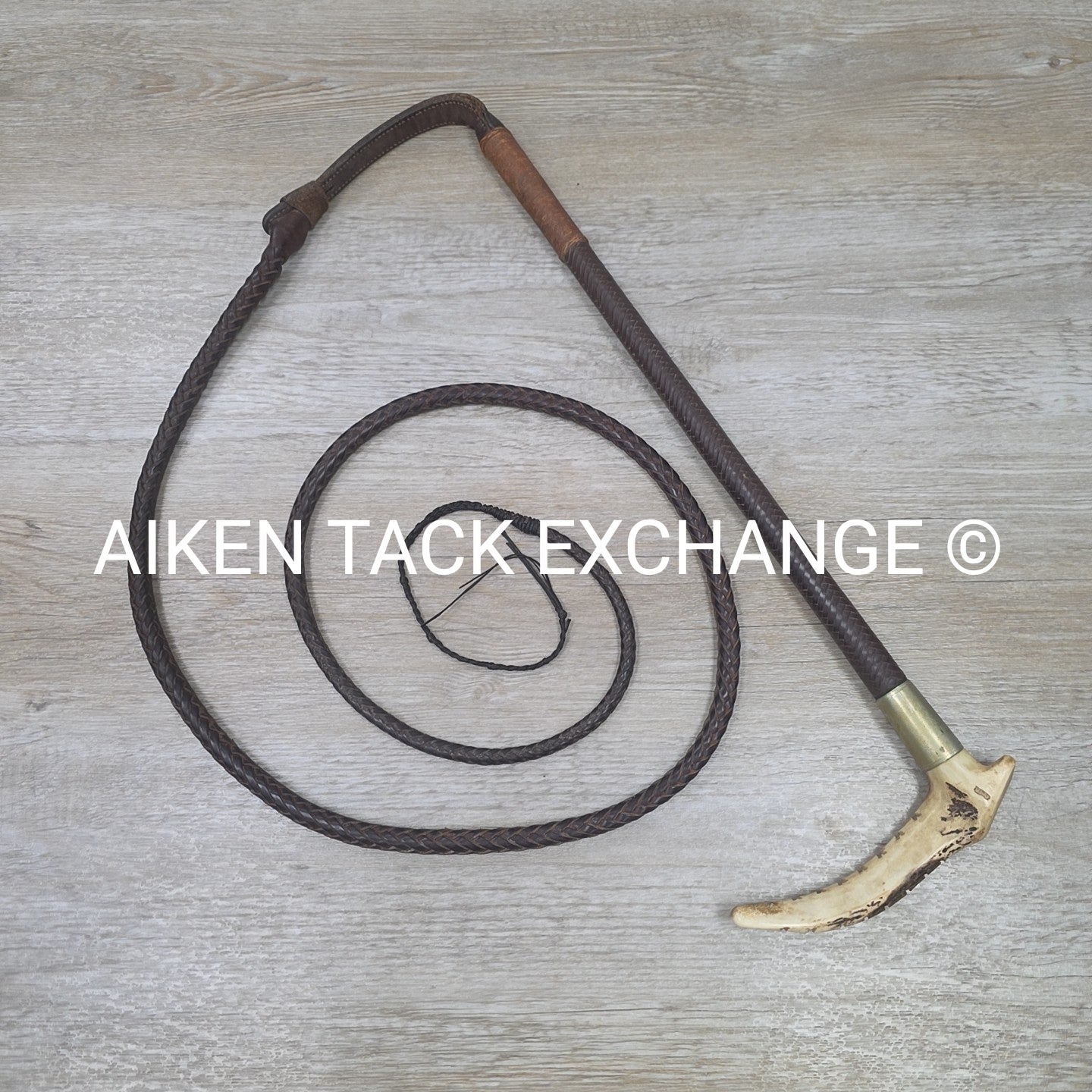 Men's Swaine Staghorn Hunt Whip with Thong / Lash