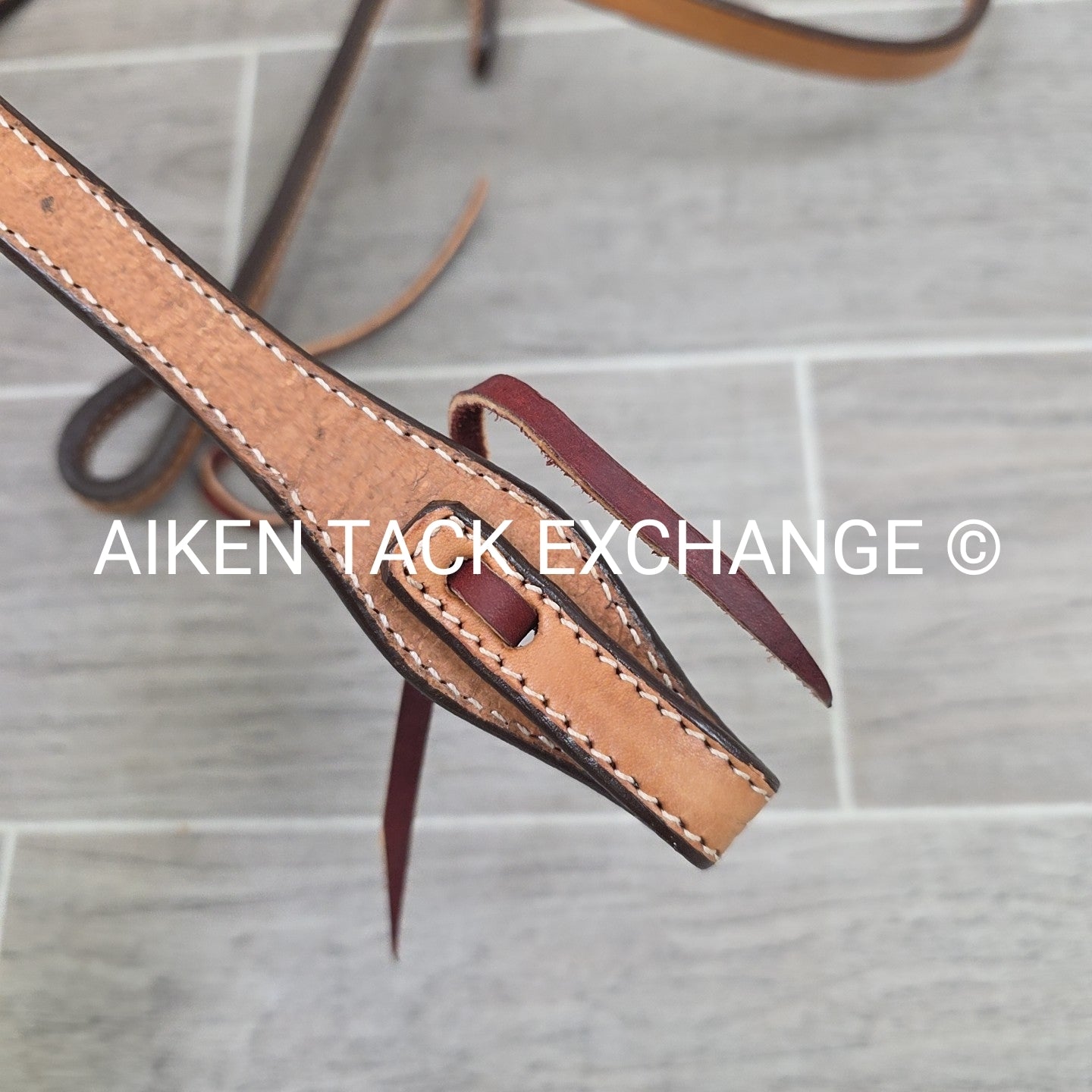 Showman Browband Headstall, No Reins