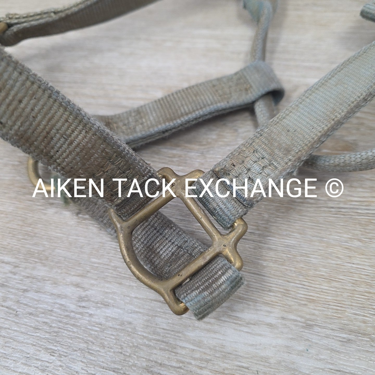 BARGAIN BUNDLE 5 Weaver Leather Nylon Halters, Size Horse