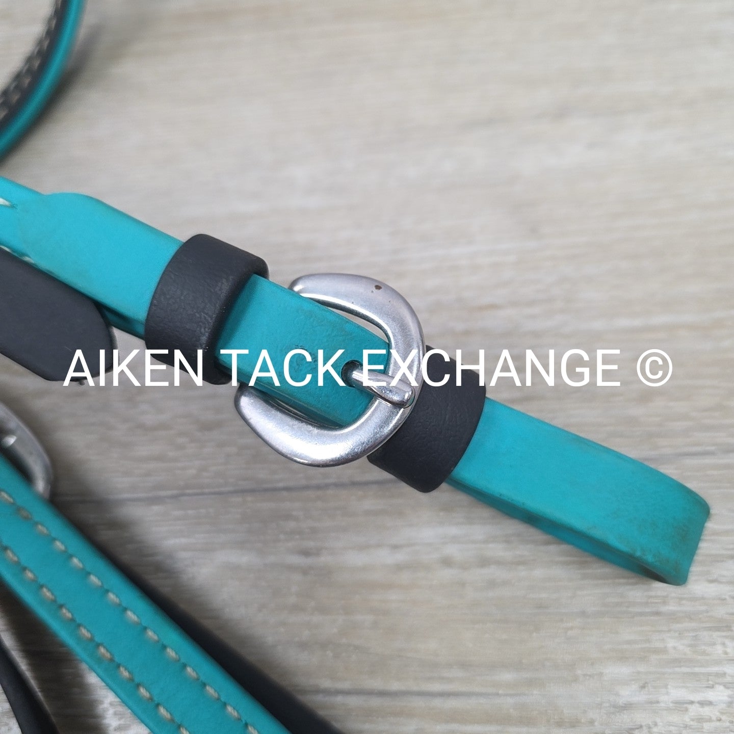 Biothane Bridle, No Reins, Size Full