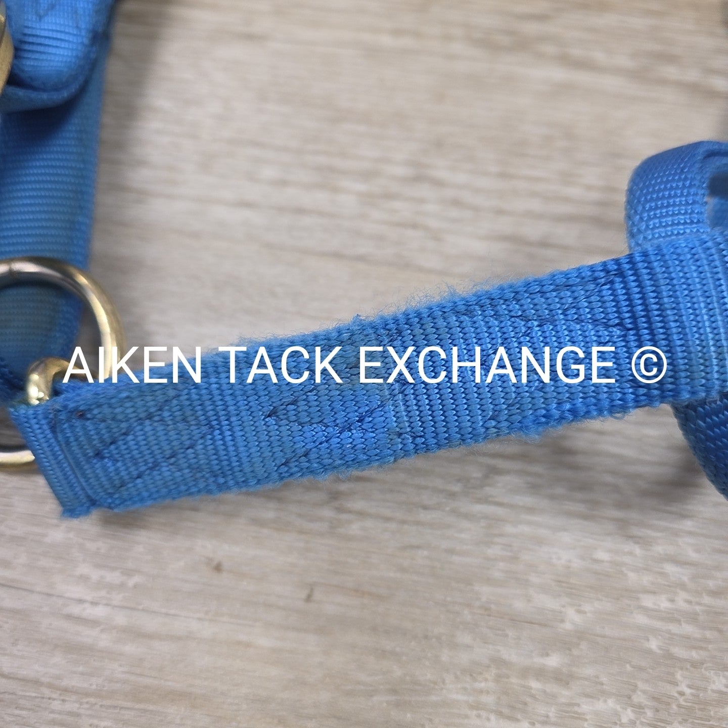 Nylon Breakaway Halter, Size Large